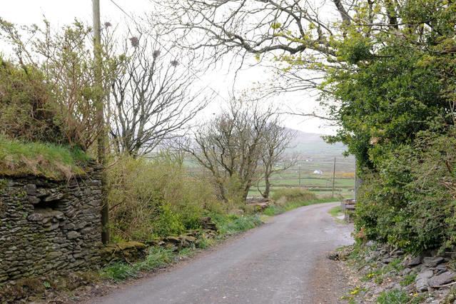 Griffins Holiday Cottage Dingle Exterior photo